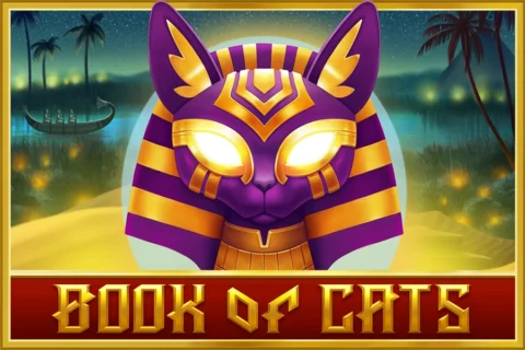 Book of Cats slot game