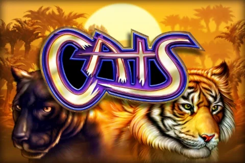 Cats slot game