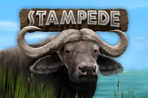 Stampede slot game