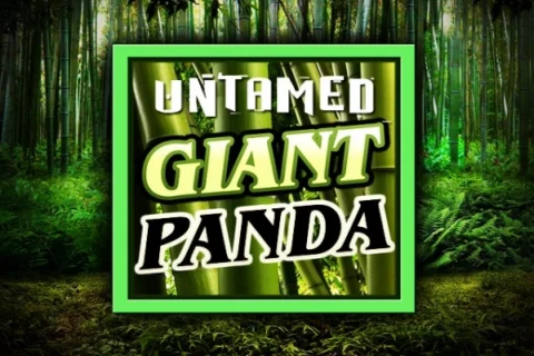 Untamed Giant Panda slot game