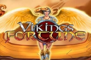 Vikings Fortune slot game