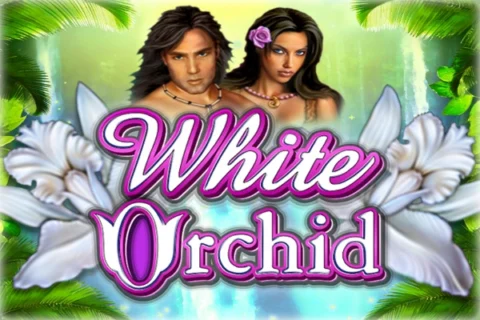 White Orchid slot game