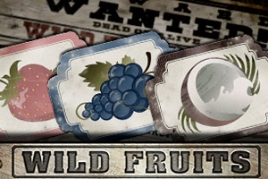 Wild Fruits slot game