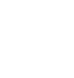 Iron Dog Studio